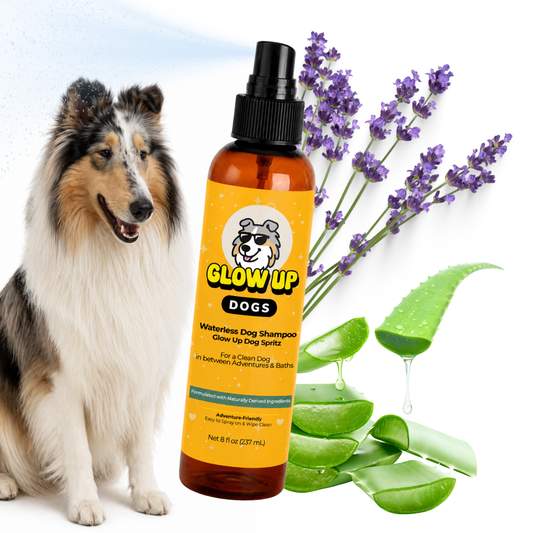 The Glow Up Dogs Spritz | Waterless Dog Wash Spray